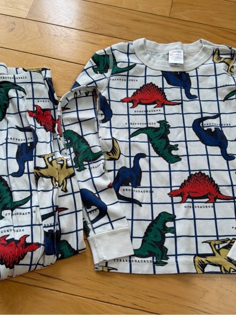 Hanna Andersson Cream Grid Dinosaur Pajama Set with Red, Green & Blue Dinosaurs